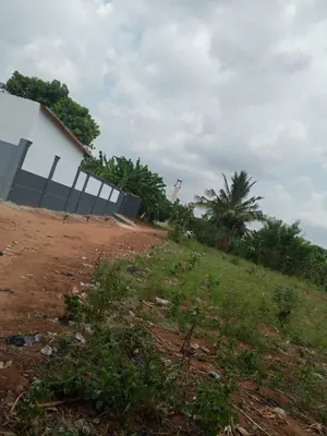 Terrain de plus d'un lot (727 m²) en vente à Davié – 8 millions FCFA — photo 2