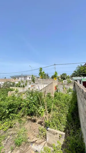 Terrain 1 lot en vente au bord du Boulevard Circulaire du 13 Janvier – 300 millions FCFA — photo 2