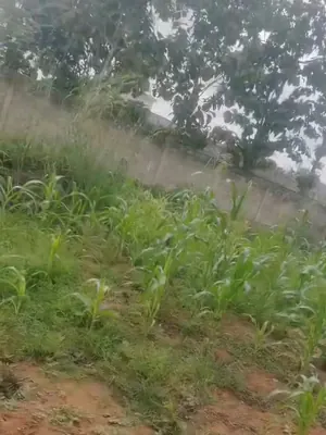 Terrain 1 lot en vente en angle de rue à Segbé – 25 millions FCFA — photo 3