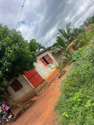 Vente d'un terrain à Akodesséwa, demi-lot en angle de rue, bord du nouveau goudron – 50 millions FCFA à revoir (bail possible) — photo 3