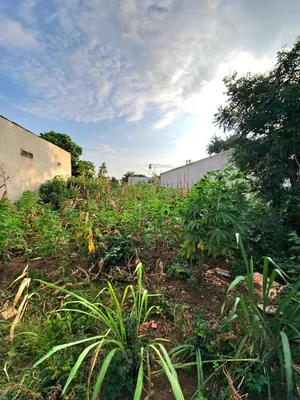 Vente d'un terrain au Rond-point Avinato (Légbassito), 1 lot, 559 m², titre foncier personnel – 35 millions FCFA — photo 11