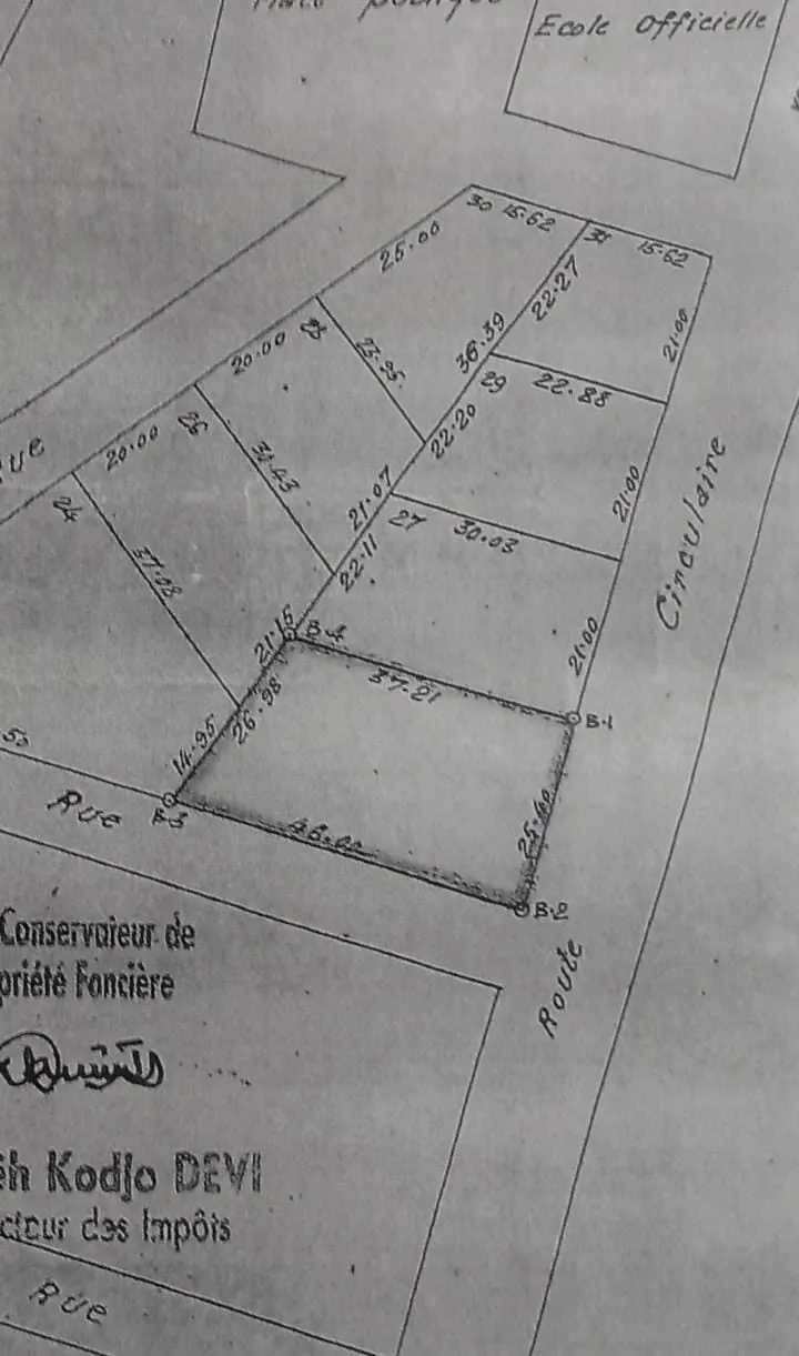 Terrain 1057 m² en angle de rue à vendre à Akodessewa – 250 millions FCFA