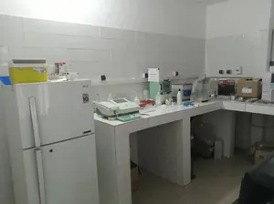 Vente d'une clinique à Hédzranawoé, sur 1 lot (600 m²), à 800 m du goudron – à partir de 250 millions FCFA — photo 36