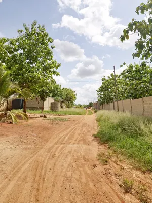 Terrain 2 lots (1200 m²) en vente à Mission-Tové Moekopé – 7 500 000 FCFA le lot — photo 5