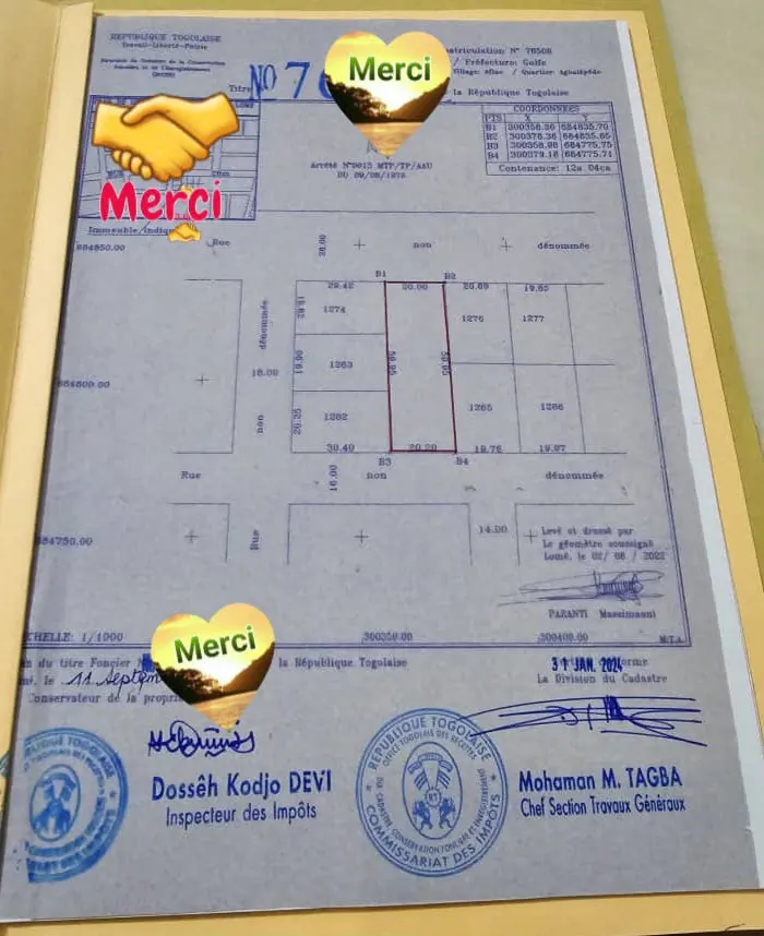 Vente d'un terrain à Pharmacie Nation, 2 lots (1204 m²), bord du goudron – 150 millions FCFA