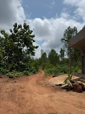 Terrain à vendre à Davié Tekpo – 60 lots disponibles – 3 500 000 FCFA le lot — photo 4