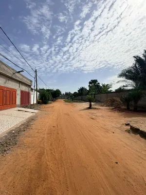 Terrain demi-lot clôturé en vente à Zanguera Gatokopé – 15 000 000 FCFA