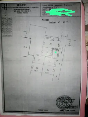 Vente d'un terrain à Léo 2000, 3 pièces habitables, 387 m², à 70 m du goudron – 20 millions FCFA — photo 1