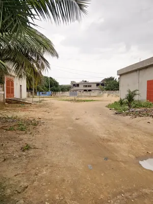 Terrain 300 m² en vente à Sanguéra Klemé – 13 millions FCFA