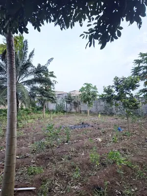 Terrain 1109 m² en vente à Agoè Telessou (Carrefour Pardon) – 45 millions FCFA — photo 7