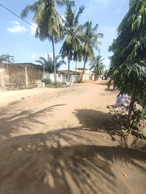 Vente d'une maison à Agbalépédo Bomaco, 4 chambres, ¾ de lot bâti, proche du goudron – 45 millions FCFA — photo 3