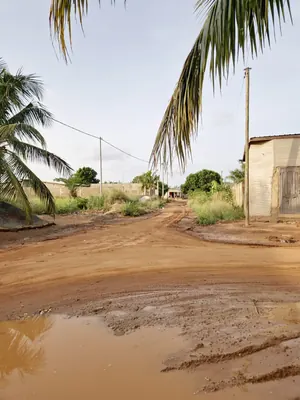Terrain demi-lot clôturé en vente à Legbassito Kognito – 8,5 millions FCFA — photo 4