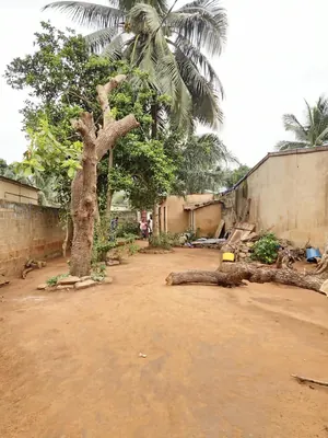 Terrain demi-lot 300 m² avec 3 pièces et boutique à vendre à Agoè Légbassito – 16 millions FCFA — photo 2