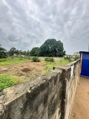 Terrain 5 lots en vente à Baguida – 35 millions FCFA le lot — photo 5