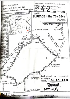 Terrain de 36 hectares à vendre à Dalavé Totokpoé, proche du goudron – 40 millions FCFA