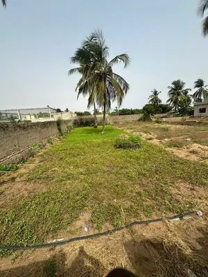Terrain 1 lot en vente à Kpogan Agodeke plage – 25 millions FCFA — photo 2