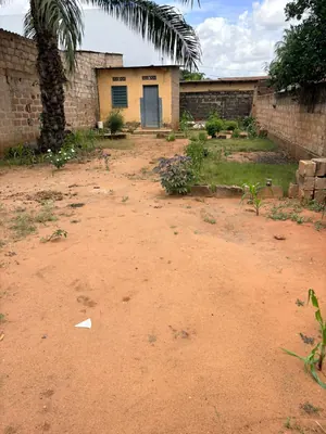 Terrain 259 m² en vente à Totsi Gblinkomé – 23 millions FCFA — photo 2