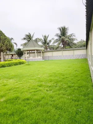 Villa 5 pièces en vente à Avenou (côté restaurant Factory) à 80 mètres du goudron – 365 000 000 FCFA — photo 2