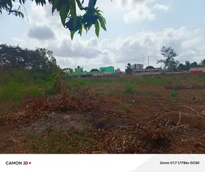 Terrain 4,5 lots (2700 m²) à vendre à Adidogomé Atigagomé – prix à partir de 25 millions FCFA le lot — photo 2