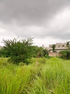Terrain 1 lot en vente à Agoè Sogbossito face grande route de 30m – 27 millions FCFA — photo 4
