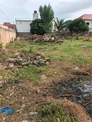 Terrain 2 lots à vendre à Sagbado – prix à partir de 38 millions FCFA le lot — photo 4