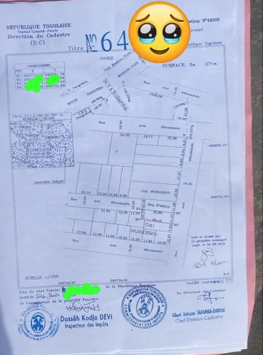 Terrain demi-lot à vendre à Zanguera Marché, proche du goudron Lomé-Kpalimé – 15 millions FCFA
