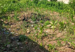 Terrain 600 m² en vente à Adidogomé Akato Avoémé – 16 millions FCFA