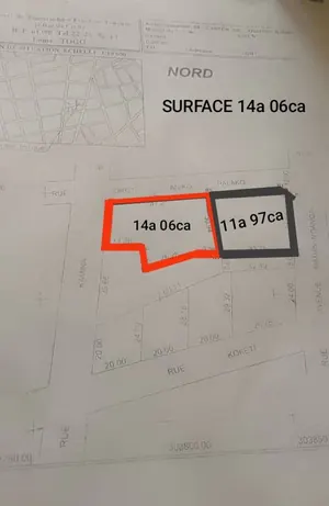 Terrain 2 lots et demi à vendre à Assigamé près de la Cathédrale – 2,9 milliards FCFA