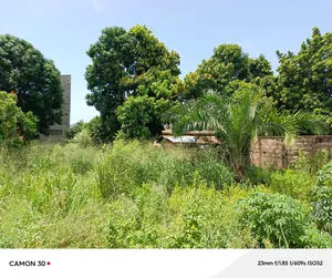 Terrain demi-lot de 300 m² à vendre proche du goudron à Camp Fir – 17 millions FCFA à débattre — photo 3