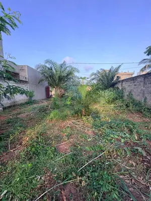 Terrain demi-lot clôturé en vente à Zanguera Gatokopé – 15 000 000 FCFA — photo 4