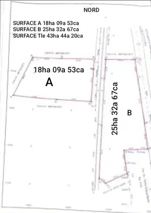 Vente d'hectares à Notsè Kpèlè, 43 hectares, bord du goudron RN1 et ouverture sur l'emprise des rails – 25 millions FCFA l'hectare