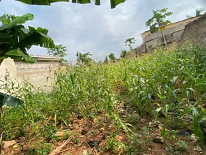 Terrain à vendre à Adidogomé Apédokoe Gbomame – 20 millions FCFA — photo 2