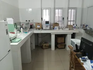 Vente d'une clinique à Hédzranawoé, sur 1 lot (600 m²), à 800 m du goudron – à partir de 250 millions FCFA — photo 4