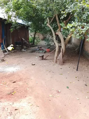 Terrain 300 m² clôturé à vendre à Avedji – 14,5 millions FCFA — photo 2