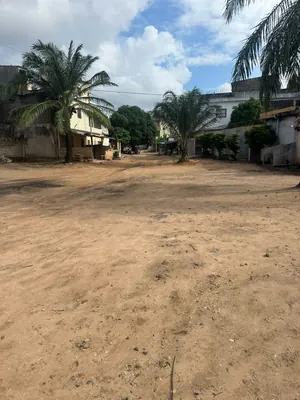 Terrain 300 m² en vente à Léo 2000 derrière école la volonté – 25 millions FCFA — photo 4