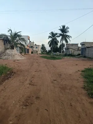 Terrain 4 lots en vente à Akato Viépé – 17 millions FCFA le lot — photo 5