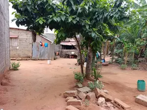 Vente d'un terrain à Zanguéra, demi-lot clôturé à 20 m du goudron – 23 millions FCFA — photo 4