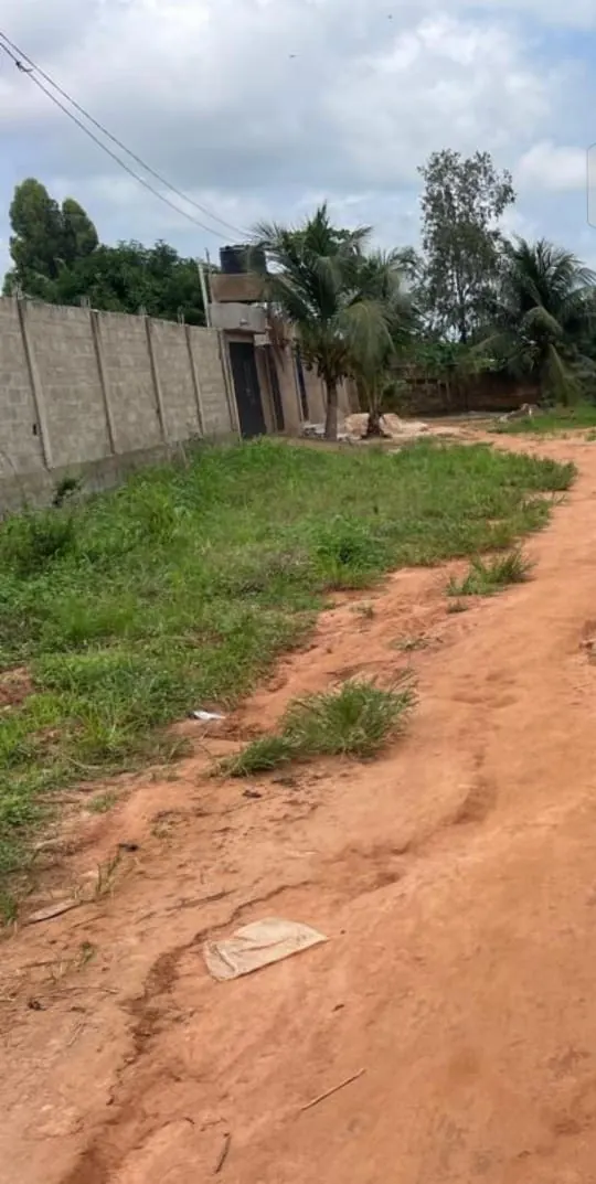 Terrain demi-lot 312 m² en vente à Adidogomé Segbé Akoto – à partir de 5 500 000 FCFA