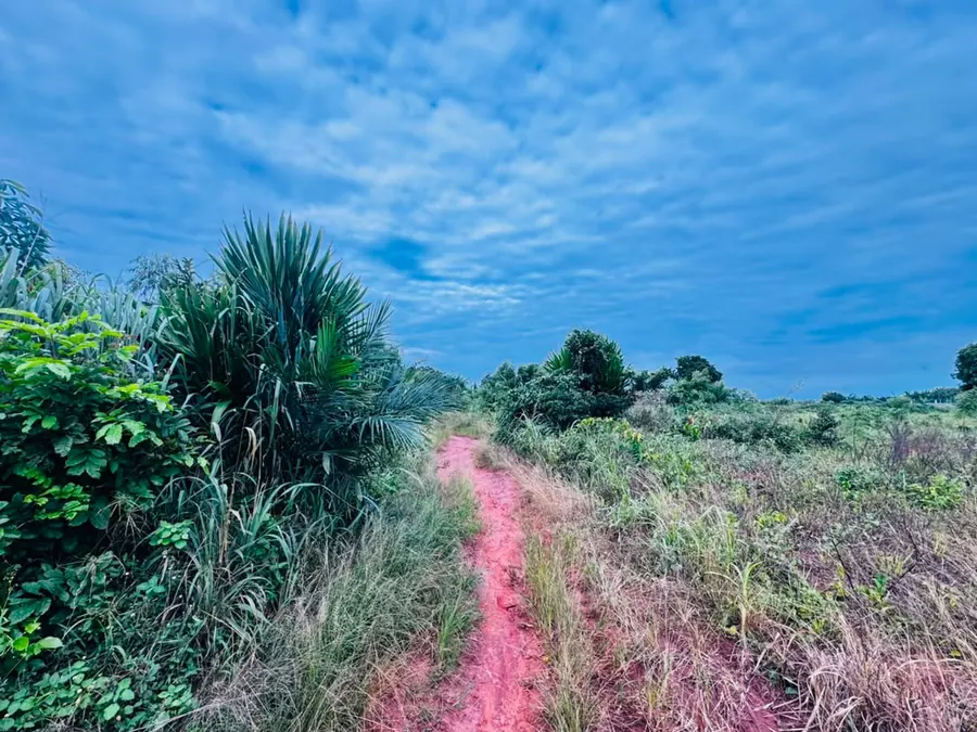 Terrain 24 lots en vente à Zanguera Ancien Péage, à 1 km du goudron N5 – 8 000 000 FCFA le lot