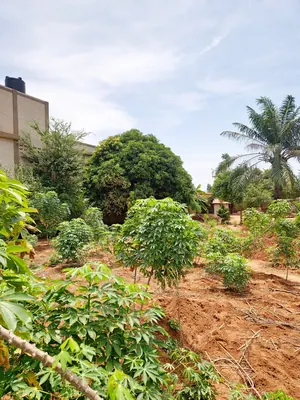 Terrain 680 m² en vente en angle de rue à Adidogomé Apédokoè – 35 millions FCFA — photo 5