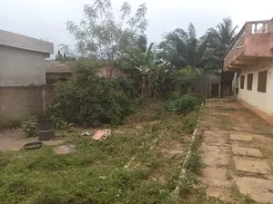 Vente de terrain à Logopé (près du camp de police), 1 lot avec maison 2 chambres salon, en bordure de rue – 20 millions FCFA — photo 2