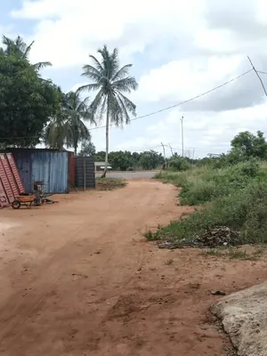Terrain demi-lot de 600 m² en vente à Aképédo, à 60 mètres du goudron Lomé–Kpalimé – 9 000 000 FCFA — photo 2