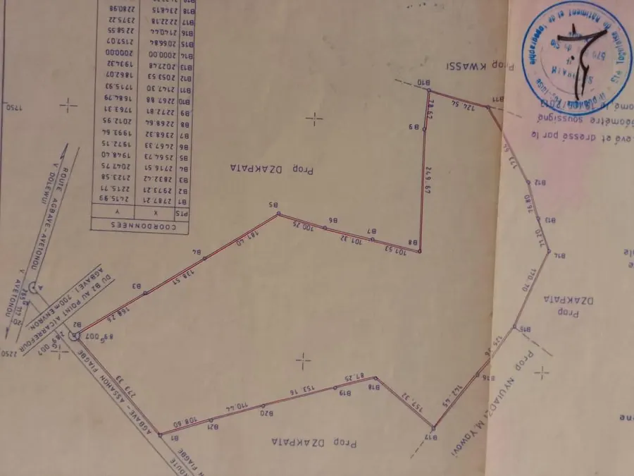Terrain de 33 hectares à vendre à Avetonou, préfecture d'Agou – 1 500 000 FCFA/hectare