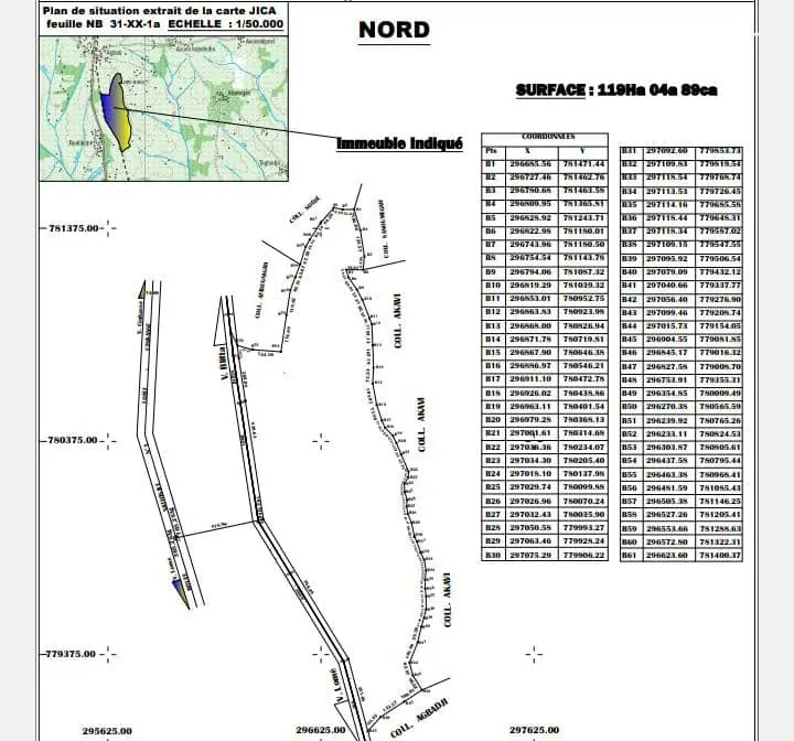 Terrain de 6000 m² à vendre à Agbati, près de Notsè – 1 million FCFA l'hectare