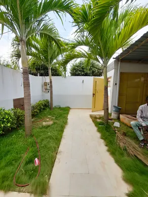 Vente d'une villa à Agoè Zongo École Malaïka, R+1 avec dépendances, jardin, titre foncier personnel – 75 millions FCFA — photo 19