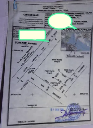 Terrain 600 m² en vente à Kegué - Zogbedji – 8,5 millions FCFA