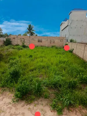 Terrain demi-lot à vendre à Ségbé Akato-Viépé – 8,5 millions FCFA — photo 5