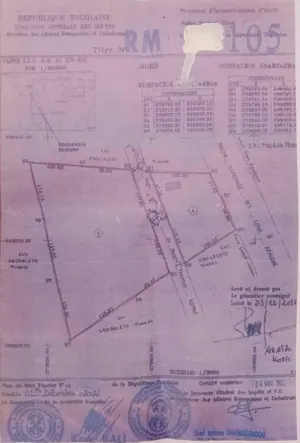 Terrain 6 hectares en vente en bord de goudron à Bagbé – 20 millions FCFA l'hectare