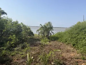 Vente de terrain à Agbodrafo Bédjimè, 5 lots clôturés en bordure du lac – 280 millions FCFA — photo 2
