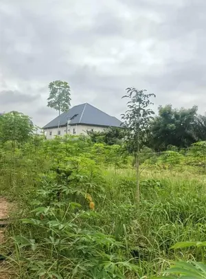 4 lots clôturés à vendre à Adidogomé Lankouvi-Sagbado – 100 millions FCFA — photo 4